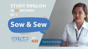 QQEnglish English language school 11 Sow와 Sew 차이점